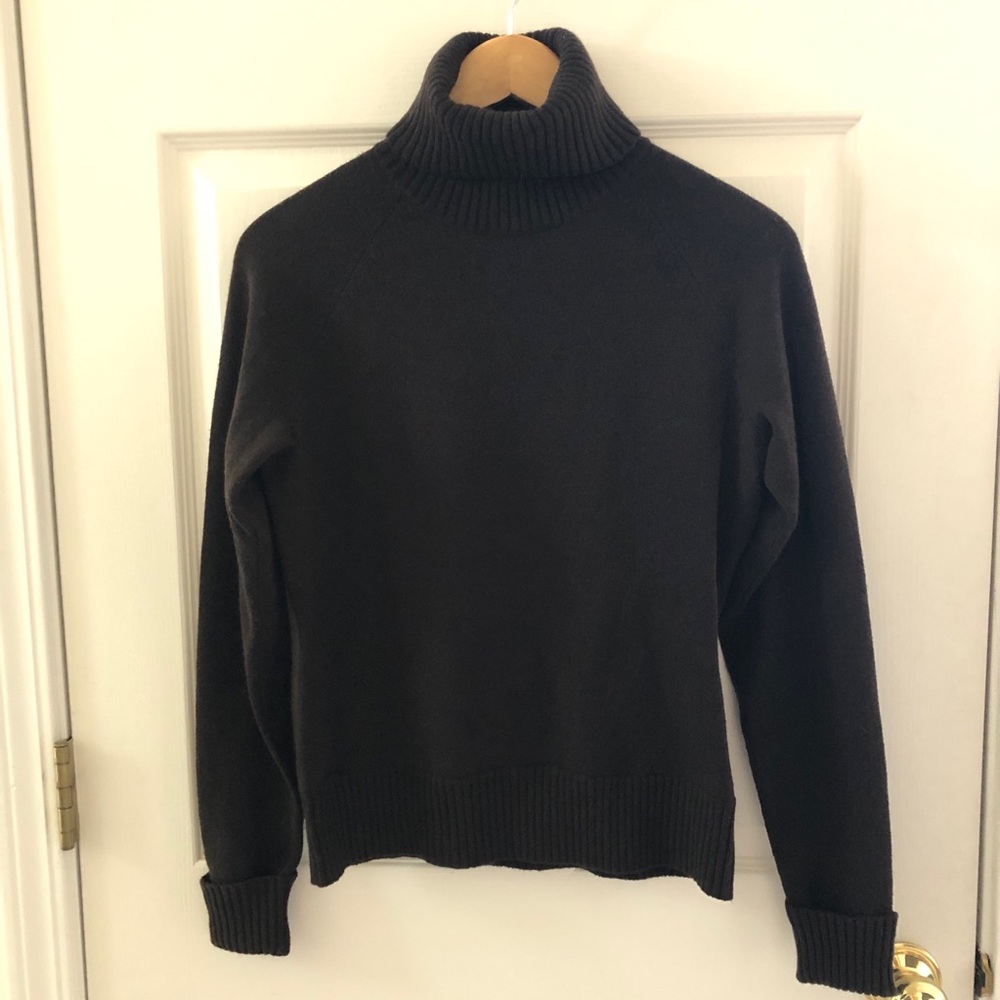 Banana Republic Italian Merino Turtleneck Sweater